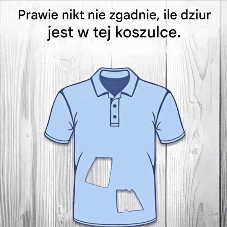 Ile_dziur_jest_w_tej_koszulce_