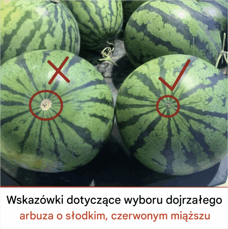 Jak_wybra__dojrza_ego_arbuza_o_s_odkim__czerwonym_mi__szu