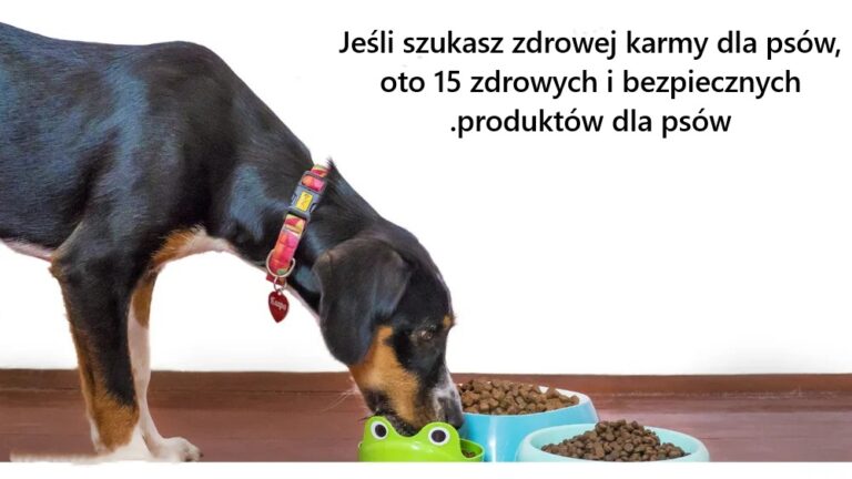 Je_li_szukasz_zdrowej_karmy_dla_ps_w__oto_15_zdrowych_i_bezpiecznych_produkt_w_dla_ps_w_
