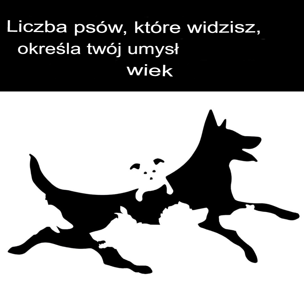 Liczba_ps_w__kt_re_widzisz_na_tym_obrazku__okre_la_Tw_j_wiek_umys_owy Liczba_ps_w__kt_re_widzisz_na_tym_obrazku__okre_la_Tw_j_wiek_umys_owy