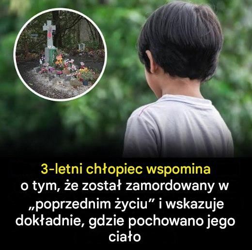 Ma_e_dziecko_twierdzi___e_pami_ta__jak_w_poprzednim__yciu_zosta_o_zamordowane_i_wskazuje_miejsce__w_kt_rym_zosta_o_pochowane_-3