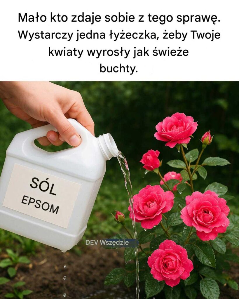 Ma_o_kto_zdaje_sobie_z_tego_spraw___Wystarczy_jedna__y_eczka__by_Twoje_kwiaty_wyros_y_jak__wie_e_buchty_