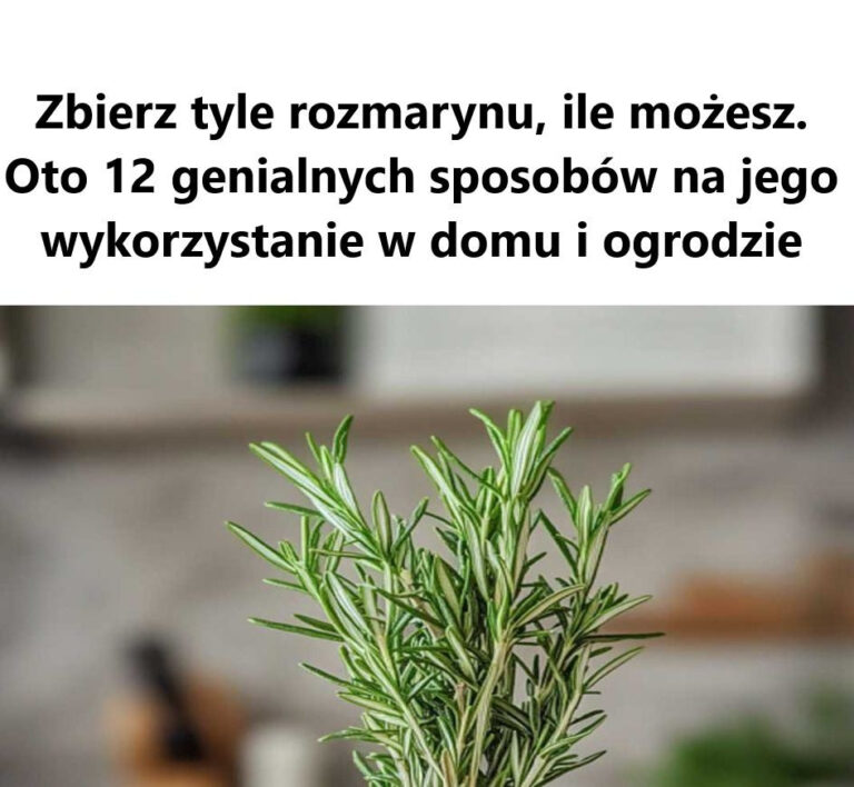 Musz__ju__i___i_zacz___zbiera__