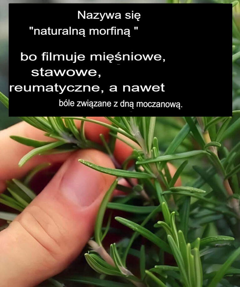Napar__kt_ry_dobrze_ci_zrobi