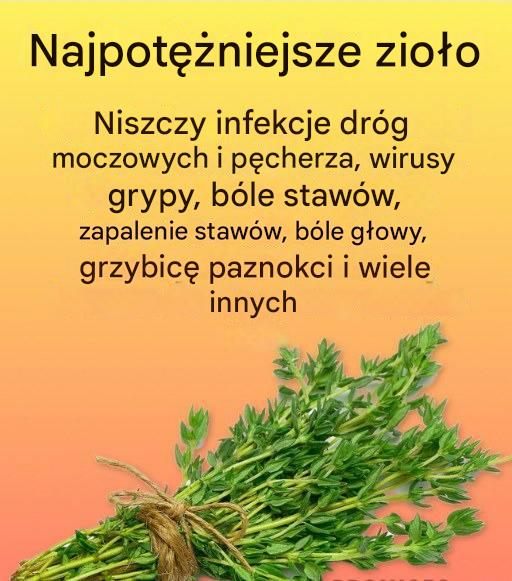 Naturalny__rodek_na_paso_yty_i_infekcje_dr_g_moczowych-3 Naturalny__rodek_na_paso_yty_i_infekcje_dr_g_moczowych-3