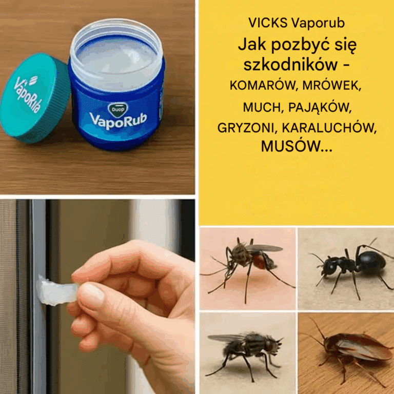 Niewiarygodne__Vicks_VapoRub___Twoja_Tajna_Bro__na_Komary__Mr_wki__Myszy_i_Inne_Szkodniki__Ten_Sekretny_Triki_Odmieni_Tw_j_Dom_