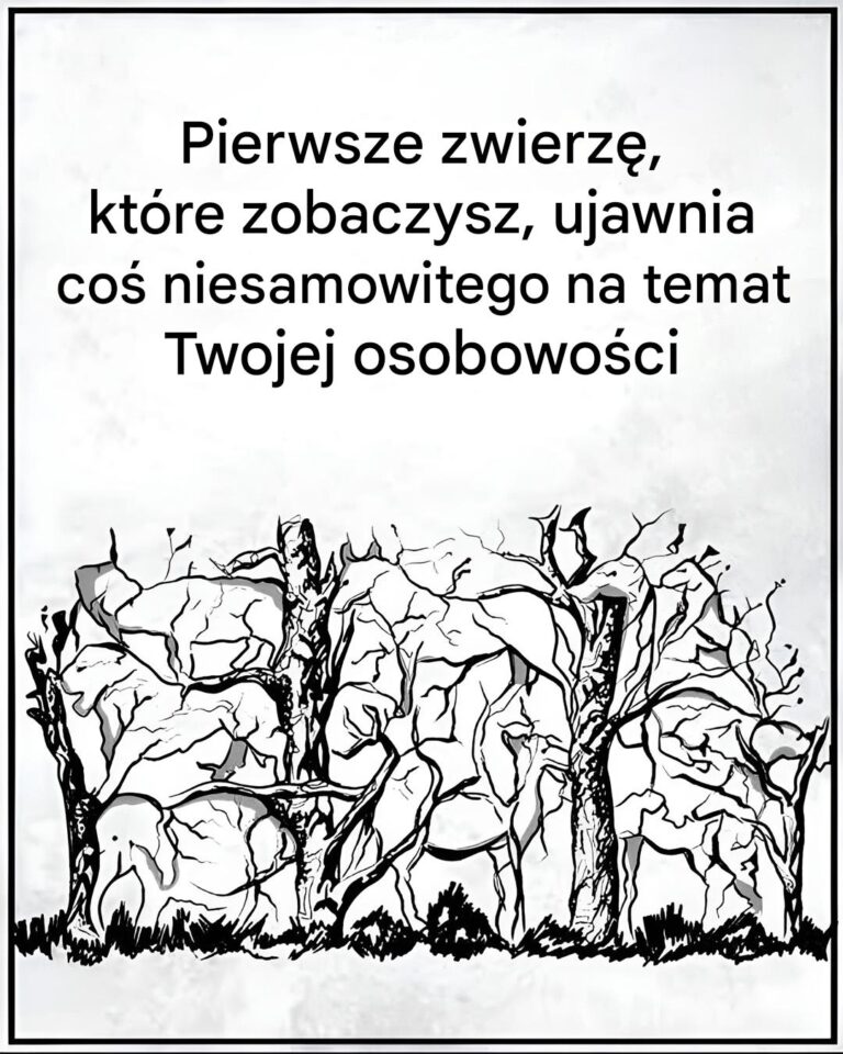 Pierwsze_zwierz___kt_re_zobaczysz__ujawni_pewne_informacje_na_temat_Twojej_osobowo_ci-1