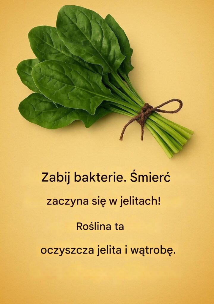 Produkty_spo_ywcze Produkty_spo_ywcze