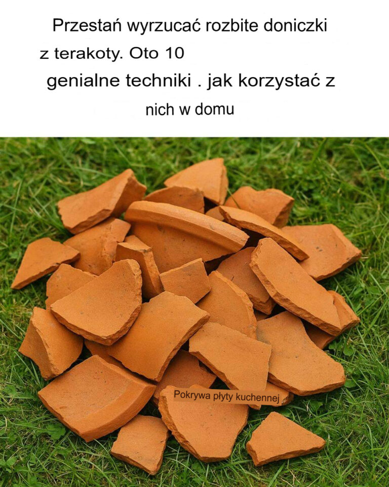 Przesta__wyrzuca__pot_uczone_doniczki_terakotowe__Oto_10_genialnych_trik_w__jak_wykorzysta__je_w_domu_