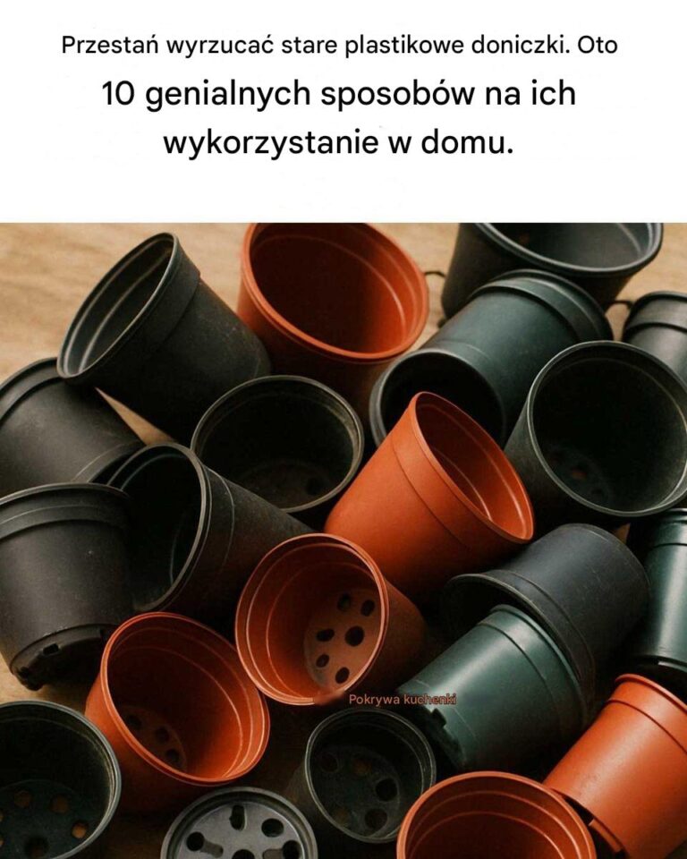 Przesta__wyrzuca__stare_plastikowe_doniczki__Oto_10_genialnych_wskaz_wek__jak_je_ponownie_wykorzysta__w_domu_