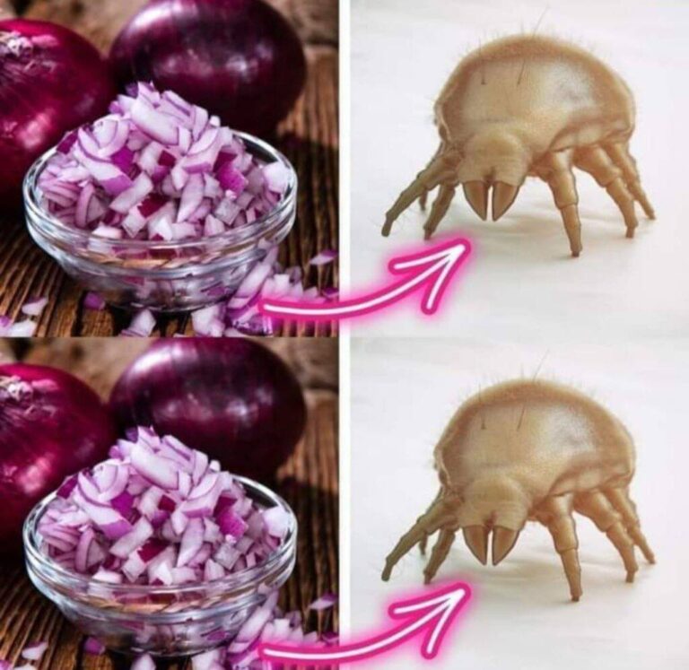 Rewolucja_w_Twoim_Domu__Naturalne_Sposoby_na_Walk__z_Roztoczami_Kurzu__Jak_Czerwona_Cebula_Pomaga_w_Walce_o_Czystsze_Powietrze_i_Zdrowy_Sen__Koniec_z_Alergi__