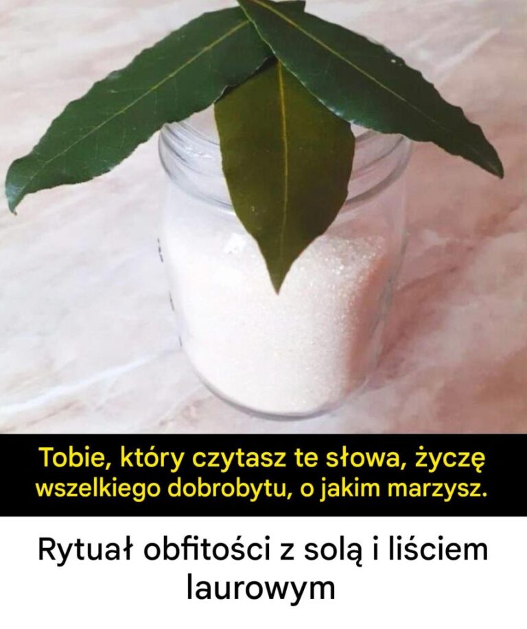 Rytua__obfito_ci_z_sol__i_li_ciem_laurowym