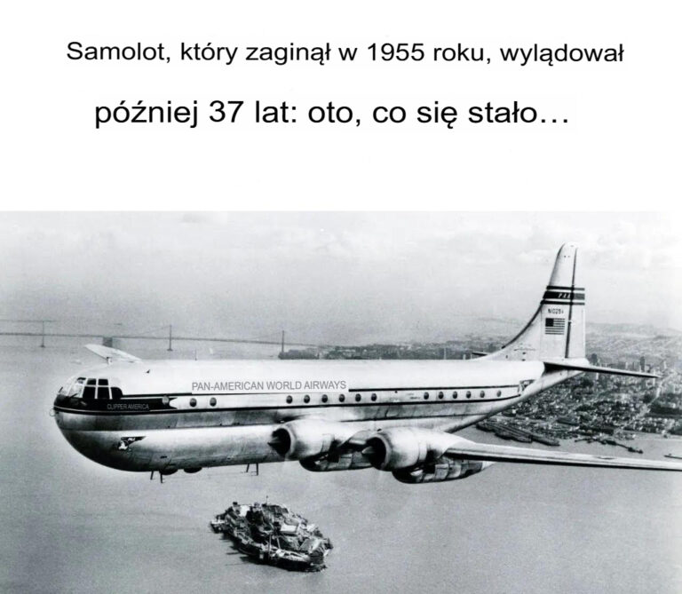 Samolot__kt_ry_znikn___w_1955_roku__powraca_po_37_latach__Oto__co_si__wydarzy_o_