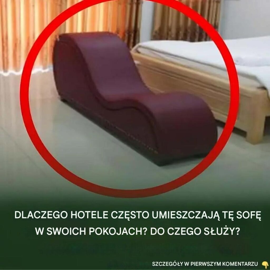 Sekrety_tajemniczej_sofy_w_pokoju_hotelowym Sekrety_tajemniczej_sofy_w_pokoju_hotelowym
