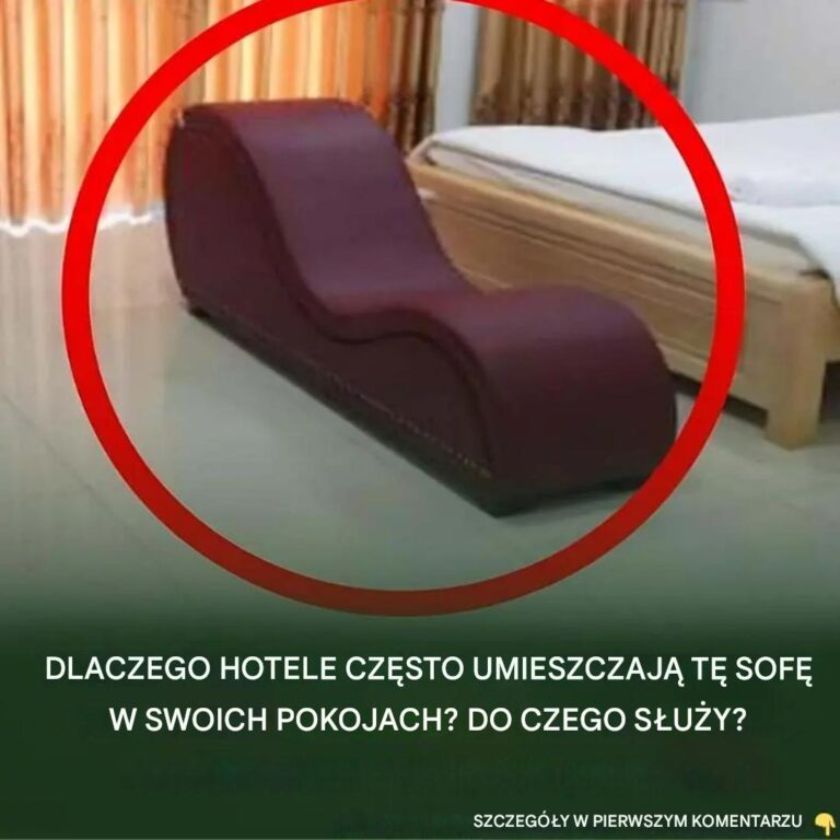 Sekrety_tajemniczej_sofy_w_pokoju_hotelowym