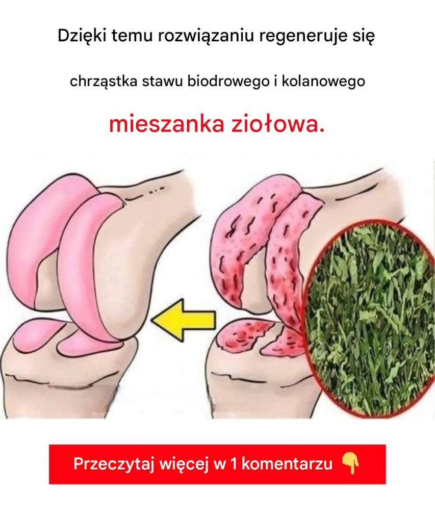 Skuteczny_domowy_spos_b_na_regeneracj__chrz_stki_biodrowej_i_kolanowej-1 Skuteczny_domowy_spos_b_na_regeneracj__chrz_stki_biodrowej_i_kolanowej-1
