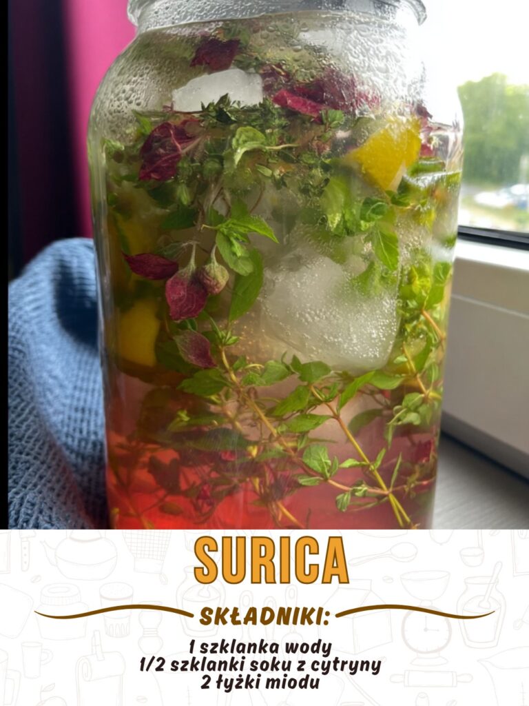 Surica___nap_j__kt_ry_pami_ta_pie___Ziemi Surica___nap_j__kt_ry_pami_ta_pie___Ziemi