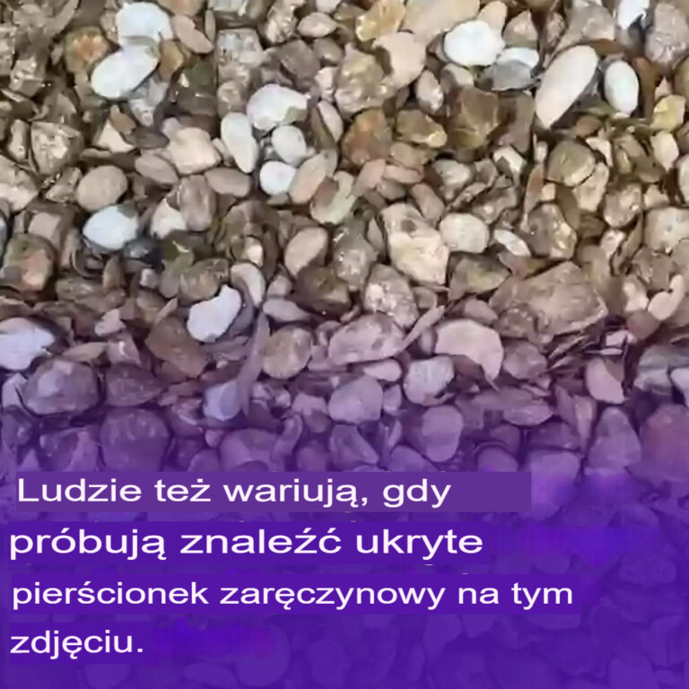 Tajemnicze_zdj_cie_rzuca_wyzwanie_internautom__czy_odnajdziesz_ukryt__obr_czk___lubn__