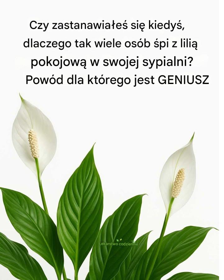Tak_genialnie_ Tak_genialnie_