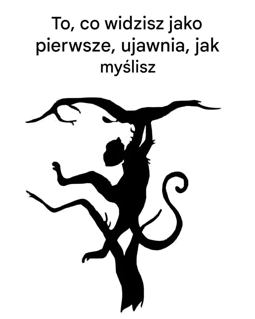 To__co_widzisz_jako_pierwsze__m_wi_wiele_o_tym__jak_my_lisz
