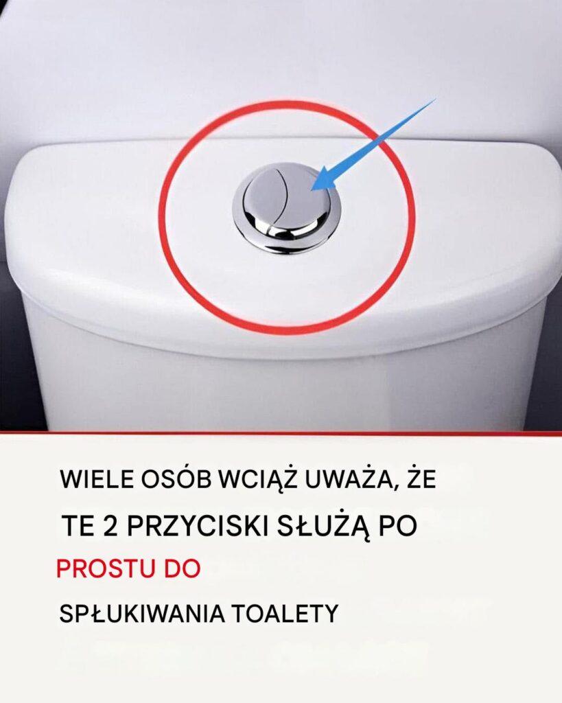Wiele_os_b_nadal_uwa_a___e___te_dwa_przyciski_s_u___tylko_do_sp_ukiwania_wody_w_toalecie_