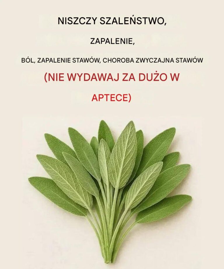 Wszystko__co_mo_esz_zrobi__z_t__ro_lin___wszystkie_babcine_zastosowania