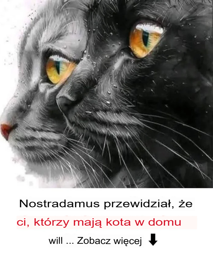 Zaskakuj_ce_duchowe_znaczenie_Twojego_kota__Czy_Nostradamus_zostawi__nam_jak___wskaz_wk__ Zaskakuj_ce_duchowe_znaczenie_Twojego_kota__Czy_Nostradamus_zostawi__nam_jak___wskaz_wk__