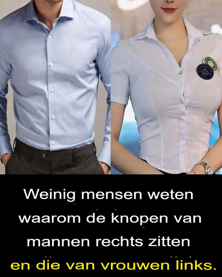 Zaskakuj_ce_pochodzenie_guzik_w_do_koszul__nieoczekiwane_dziedzictwo