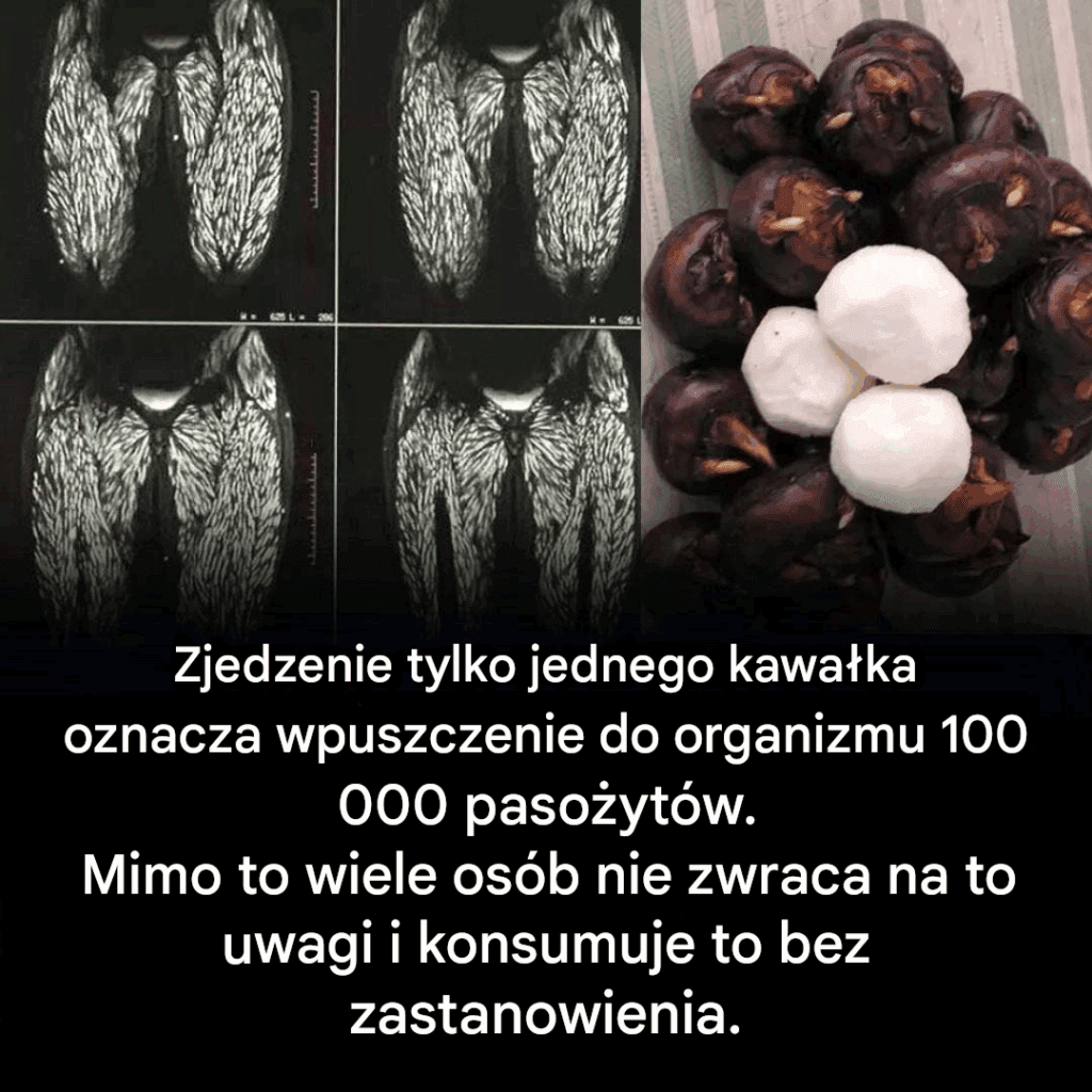 Zjedzenie_jednego_k_sa_jest_ju__szkodliwe__ale_wiele_os_b_nadal_je_je_bez_obaw-1 Zjedzenie_jednego_k_sa_jest_ju__szkodliwe__ale_wiele_os_b_nadal_je_je_bez_obaw-1