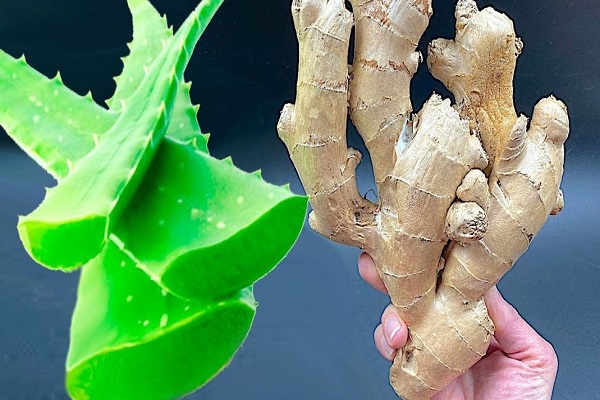 10_lat_bez_chorowania__Naturalna_bomba__Sekret_babci__jak_po_egna__si__z_b_lem__Zobacz_TUTAJ 10_lat_bez_chorowania__Naturalna_bomba__Sekret_babci__jak_po_egna__si__z_b_lem__Zobacz_TUTAJ