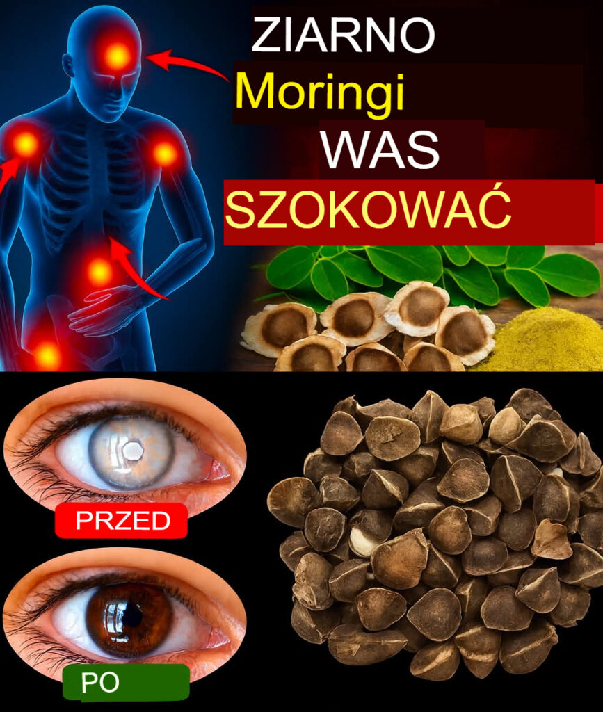 12_korzy_ci_z_nasion_moringi__o_kt_rych_nie_wiesz__ale_powiniene__wiedzie_ 12_korzy_ci_z_nasion_moringi__o_kt_rych_nie_wiesz__ale_powiniene__wiedzie_