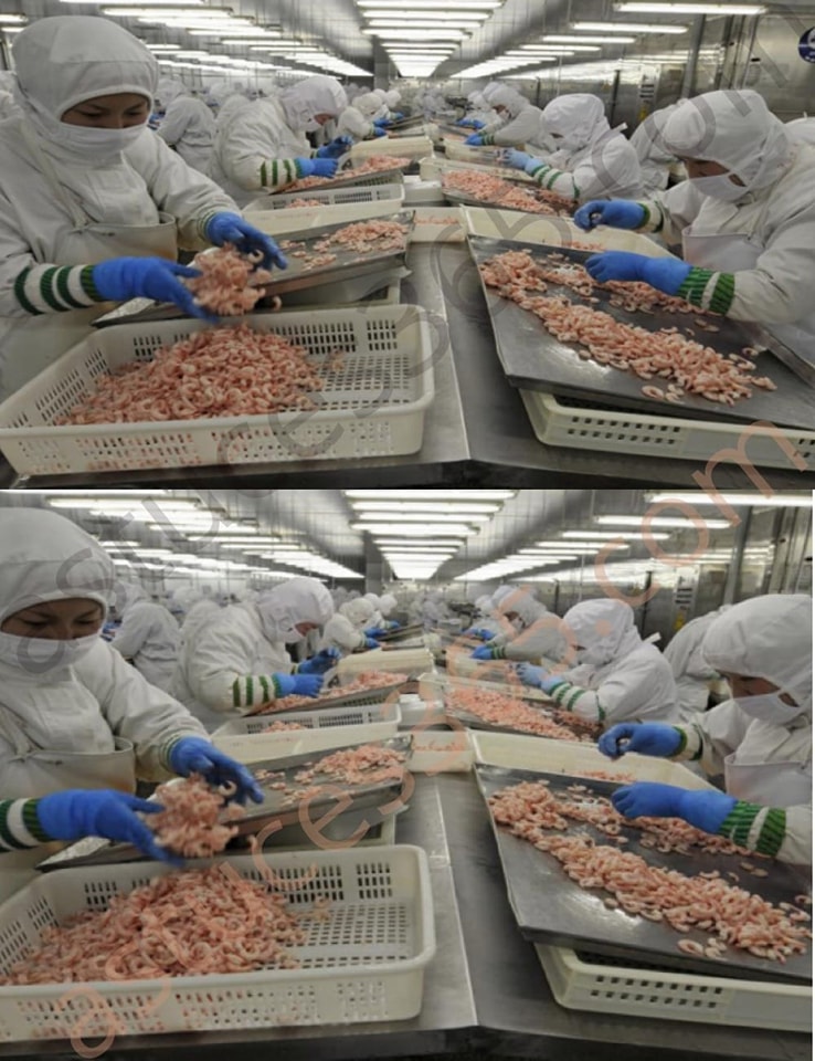 8_produkt_w_spo_ywczych_wyprodukowanych_w_Chinach__kt_rych_nie_powiniene__ju__je__ 8_produkt_w_spo_ywczych_wyprodukowanych_w_Chinach__kt_rych_nie_powiniene__ju__je__