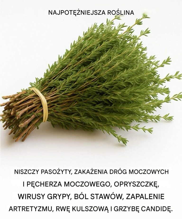 Cicha_moc_tego_zio_a__co__wi_cej_ni__tylko_podstawowy_sk_adnik_w_kuchni