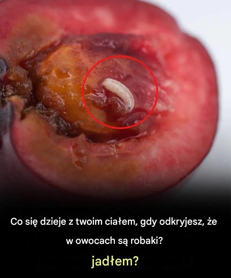 Co_zrobi___je_li_w_owocu_znajdziesz_robaka_ Co_zrobi___je_li_w_owocu_znajdziesz_robaka_