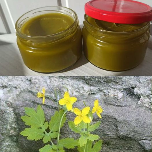 Cudowna_Ma___Z_Glistnika__Dobra_Na_Grzybic__Paznokci