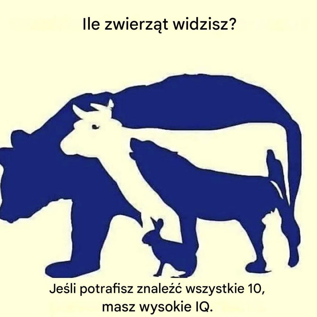 Czy_potrafisz_znale___10_zwierz_t_na_obrazku_ Czy_potrafisz_znale___10_zwierz_t_na_obrazku_