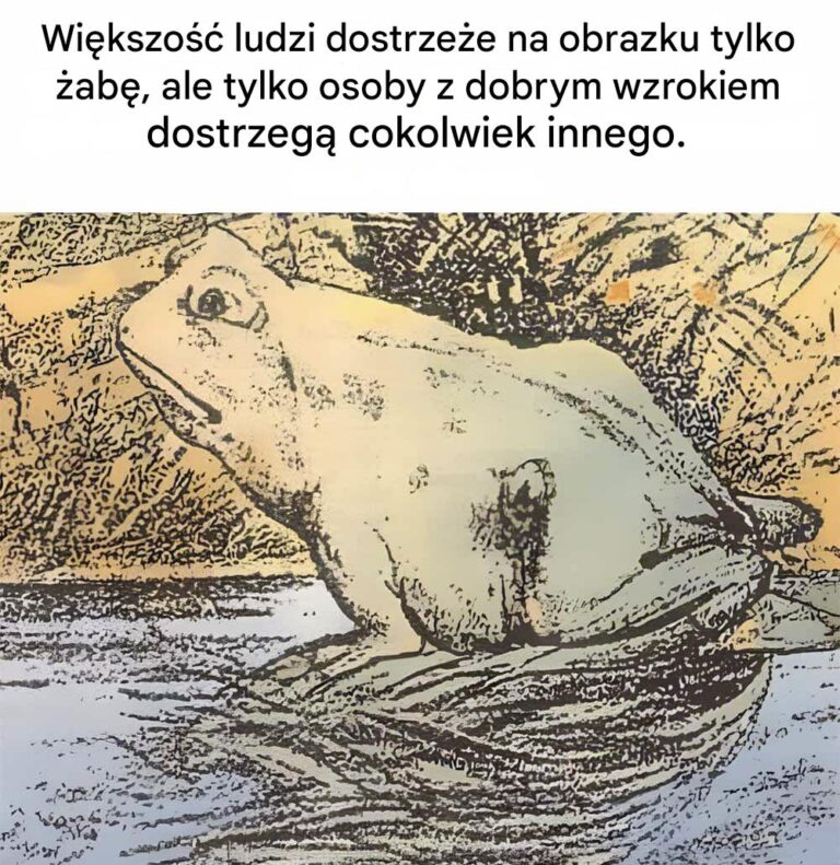 Czy_potrafisz_znale___konia_ukrytego_na_tym_rysunku__aby_