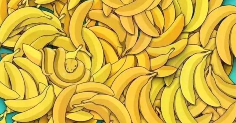 Czy_potrafisz_znale___zwierz__ukryte_w_r_d_banan_w_