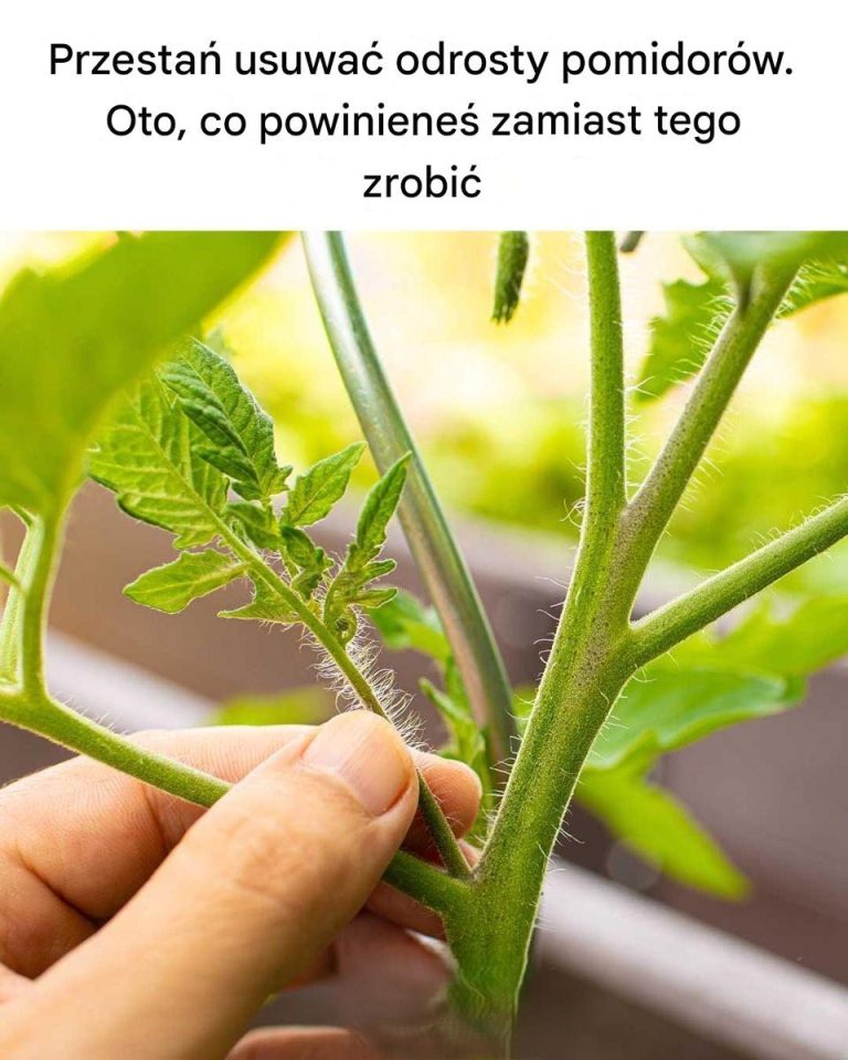 Dla_mnie_to_nowo___ Dla_mnie_to_nowo___