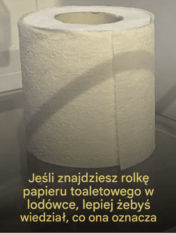 Dlaczego_ludzie_trzymaj__rolk__papieru_toaletowego_w_lod_wce___-1 Dlaczego_ludzie_trzymaj__rolk__papieru_toaletowego_w_lod_wce___-1