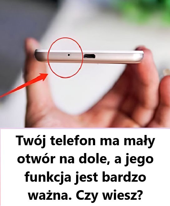 Do_czego_s_u_y_ma_y_otw_r_na_dole_telefonu_ Do_czego_s_u_y_ma_y_otw_r_na_dole_telefonu_