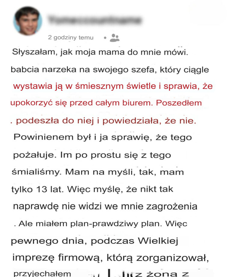 Dowiedzia_em_si____e_szef_mojej_matki_jej_nie_szanuje__wi_c_postanowi_em_porozmawia__z_nim_o_tym_w_obecno_ci_wszystkich_w_biurze_