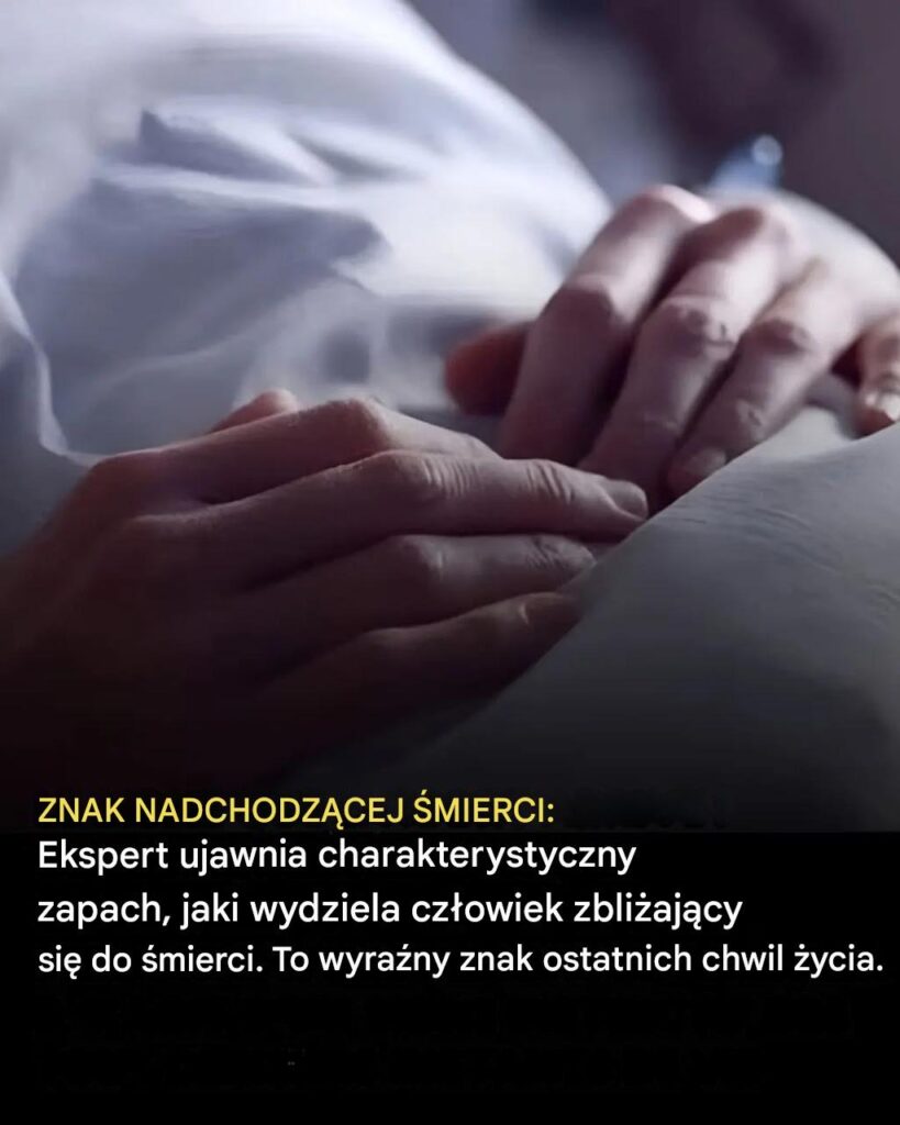 Dziwny_sygna__w_chowy_zwiastuj_cy_koniec__ycia__ujawniony_przez_eksperta Dziwny_sygna__w_chowy_zwiastuj_cy_koniec__ycia__ujawniony_przez_eksperta