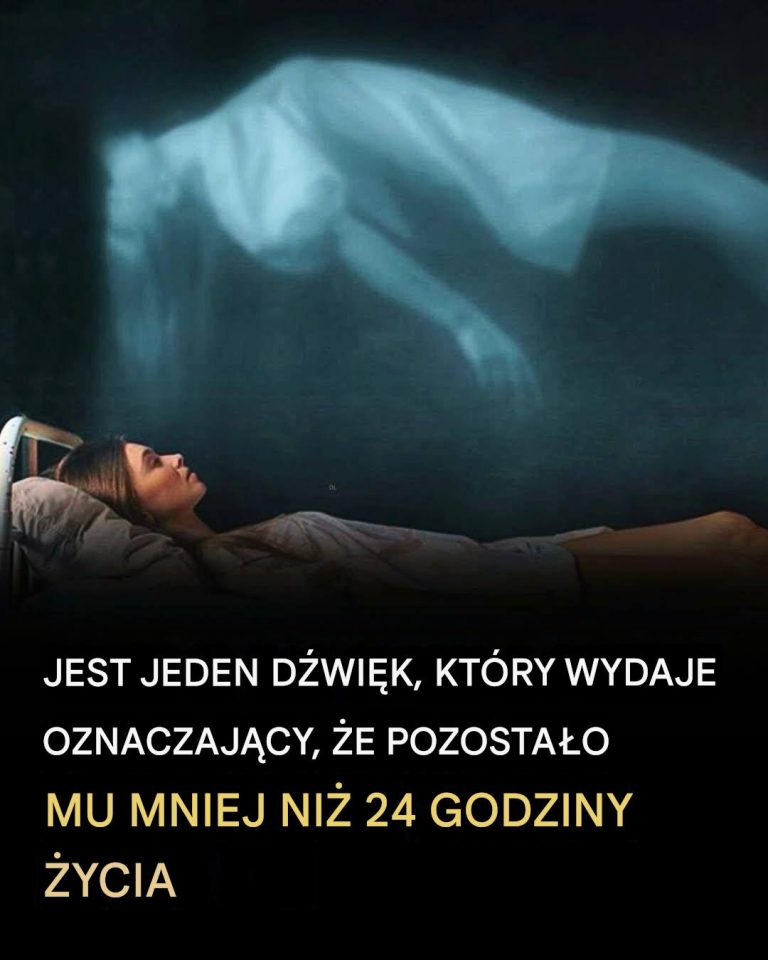 Eksperci_rzucaj___wiat_o_na_zjawisko___miertelnego_rz__enia__przed__mierci_