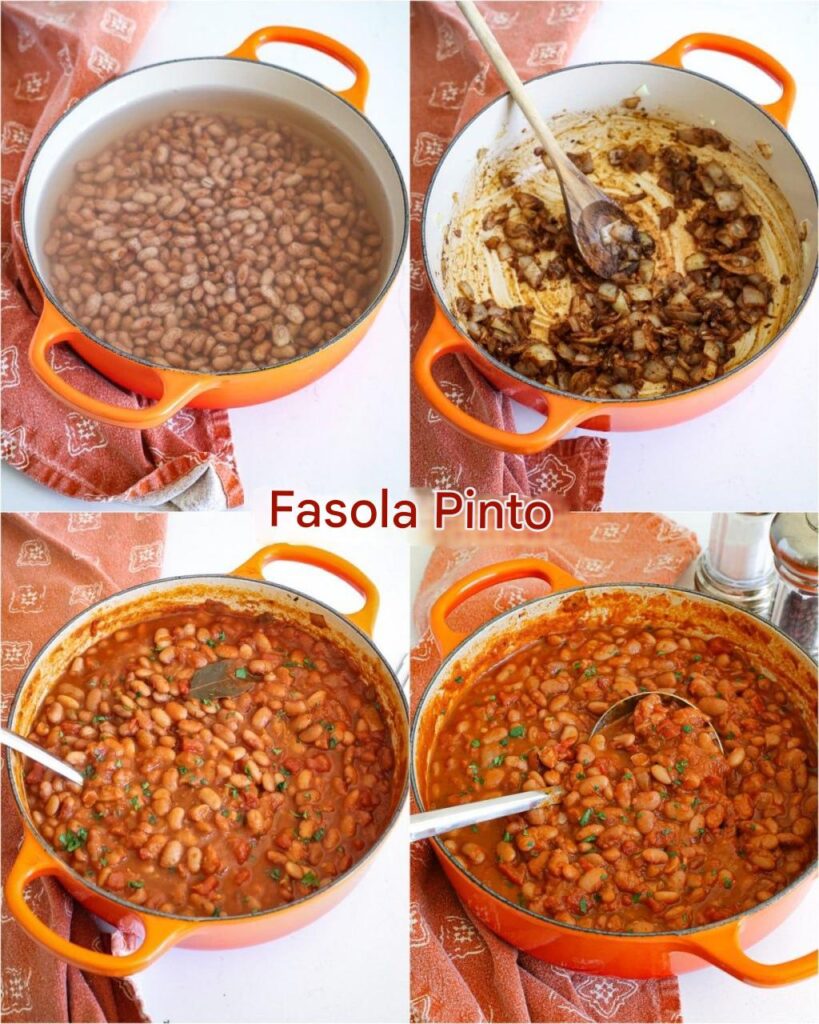 Fasola_pinto Fasola_pinto