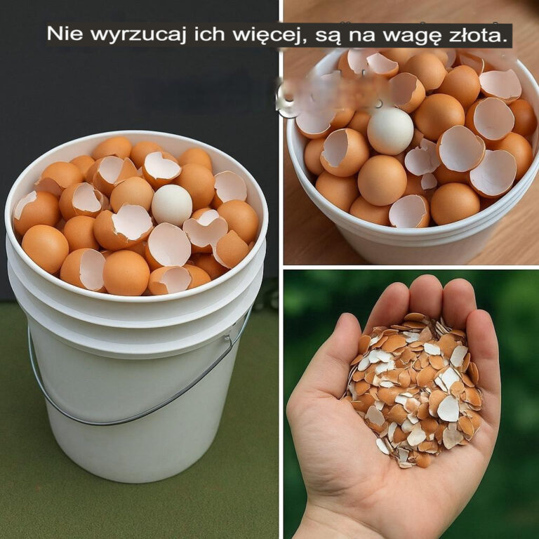 Gotowanie_skorupek_jajek_na_patelni_pozwoli_Ci_zaoszcz_dzi__sporo_pieni_dzy