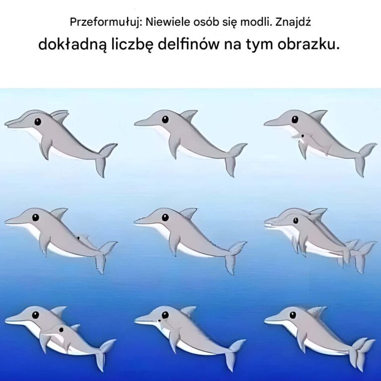 Ile_delfin_w_mo_na_zobaczy__na_tym_zdj_ciu_