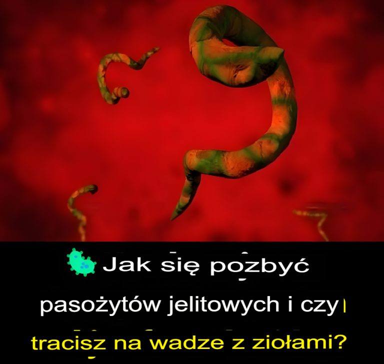 Jak_pozby__si__paso_yt_w_jelitowych_i_schudn___dzi_ki_zio_om_ Jak_pozby__si__paso_yt_w_jelitowych_i_schudn___dzi_ki_zio_om_