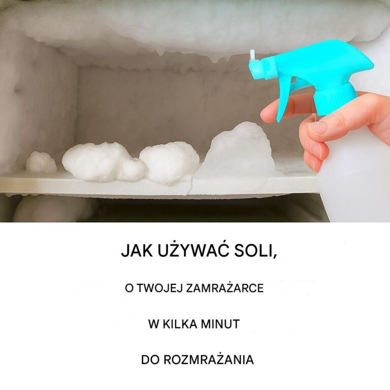 Jak_rozmrozi__zamra_ark__sol__w_kilka_minut