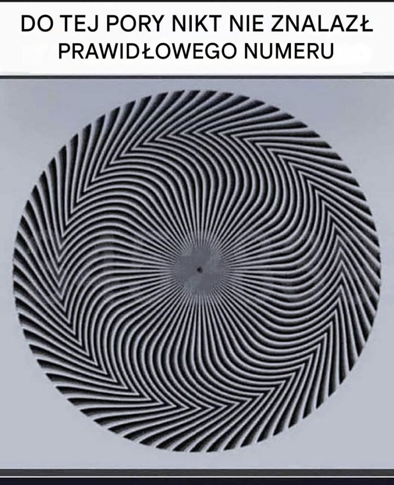Jaka_liczba_pojawia_si__przed_twoimi_oczami__Ta_iluzja_optyczna_wywo_uje_debat__w_r_d_internaut_w_
